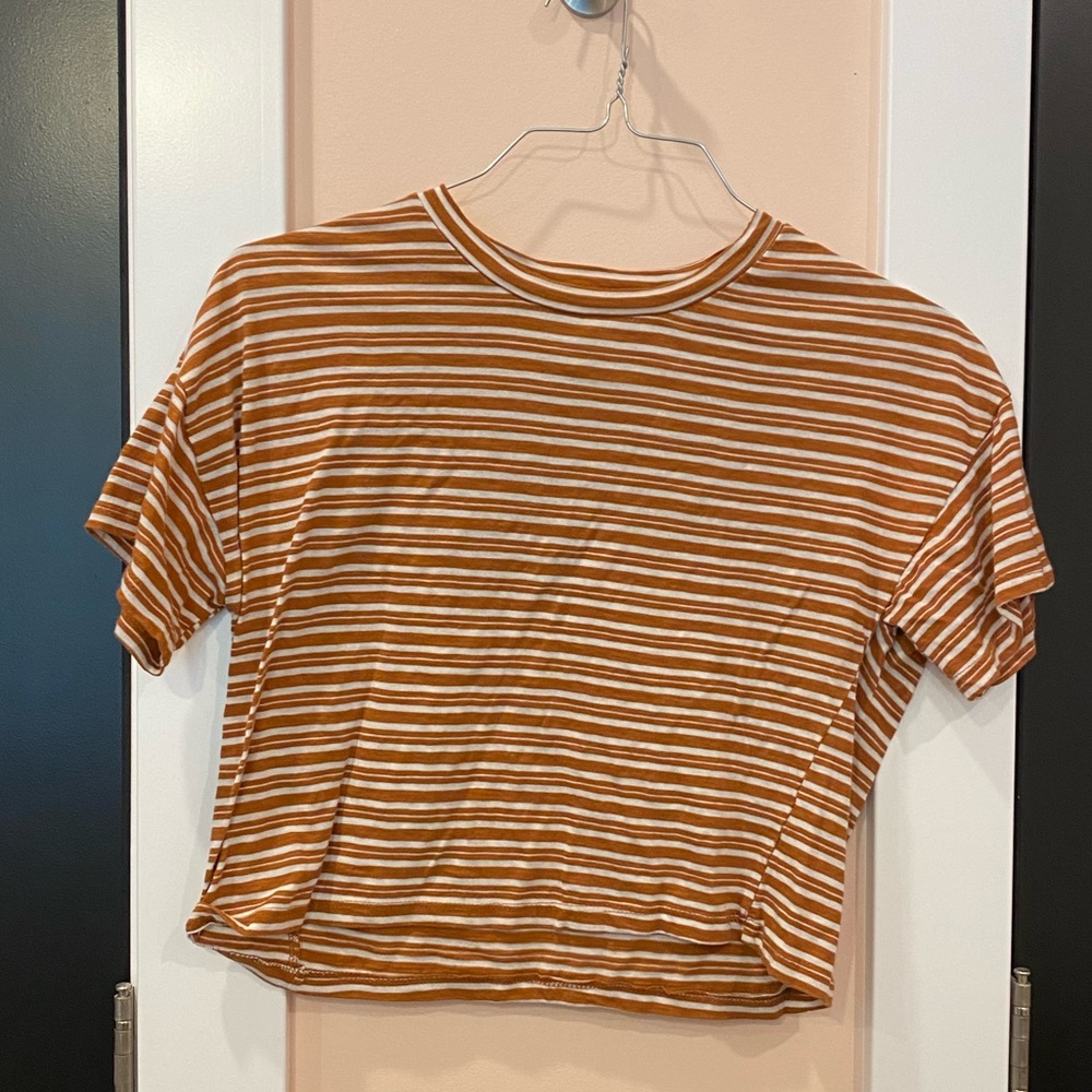 Burnt orange strip crop top